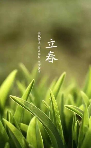 描写立春的唯美诗句（描写季节的优美句子）