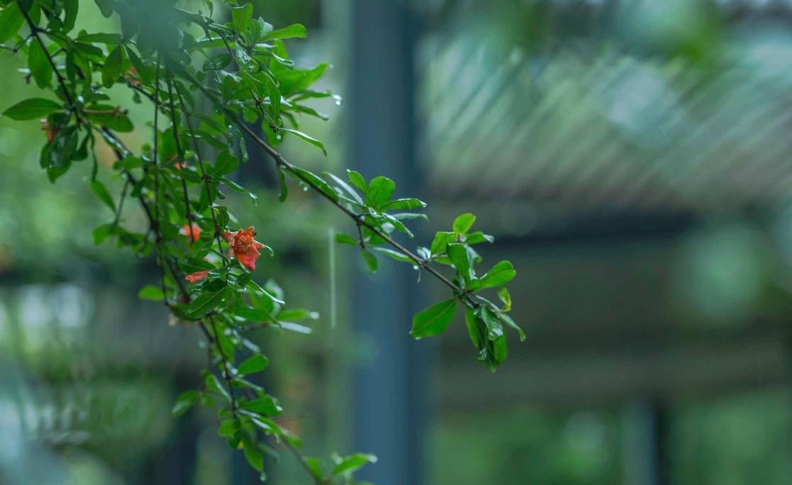 植树节名言大全（关于植树节的名诗）