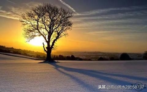 江城子记梦苏轼原文（苏轼怀念亡妻的江城子原文）