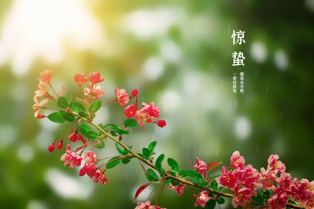 二十四节气惊蛰古诗（惊蛰节气诗词精选 ）