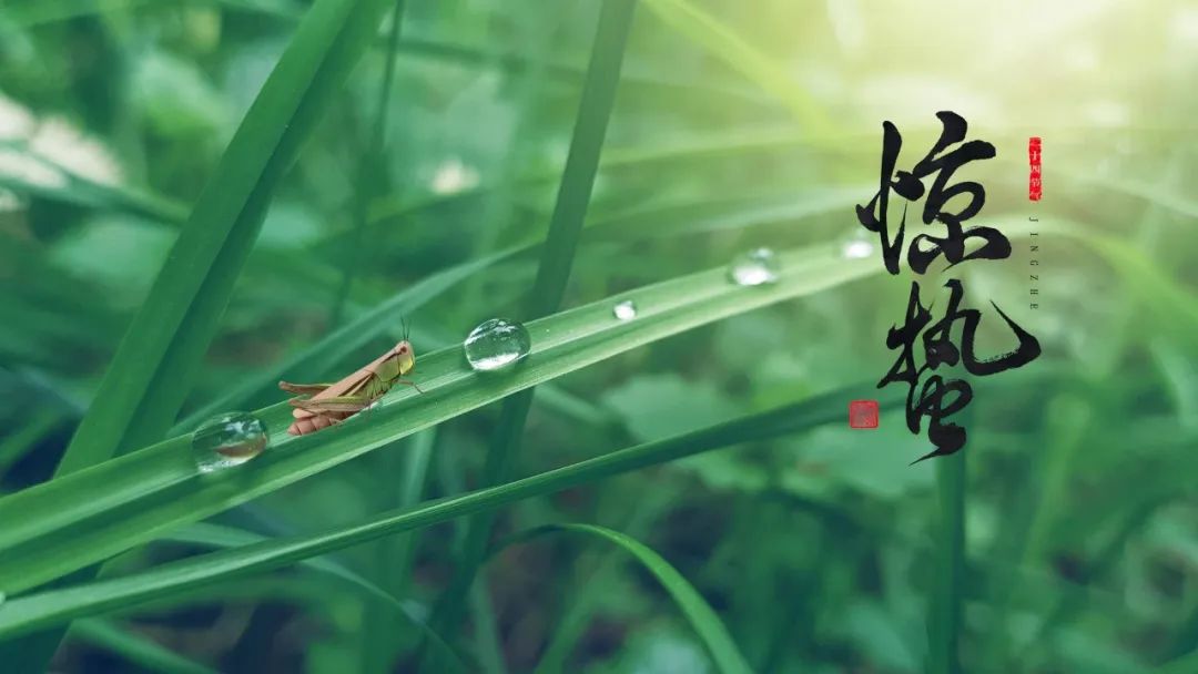 关于惊蛰的古诗（惊蛰的古诗词精选）