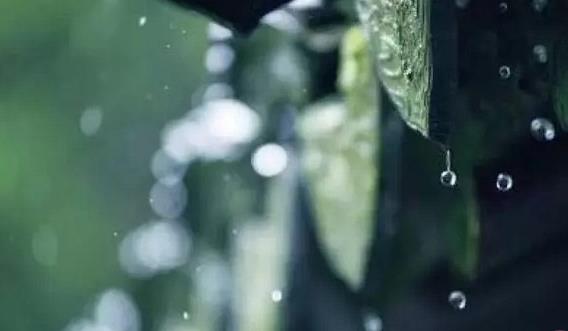 有关雨的文章片段（雨的散文欣赏）