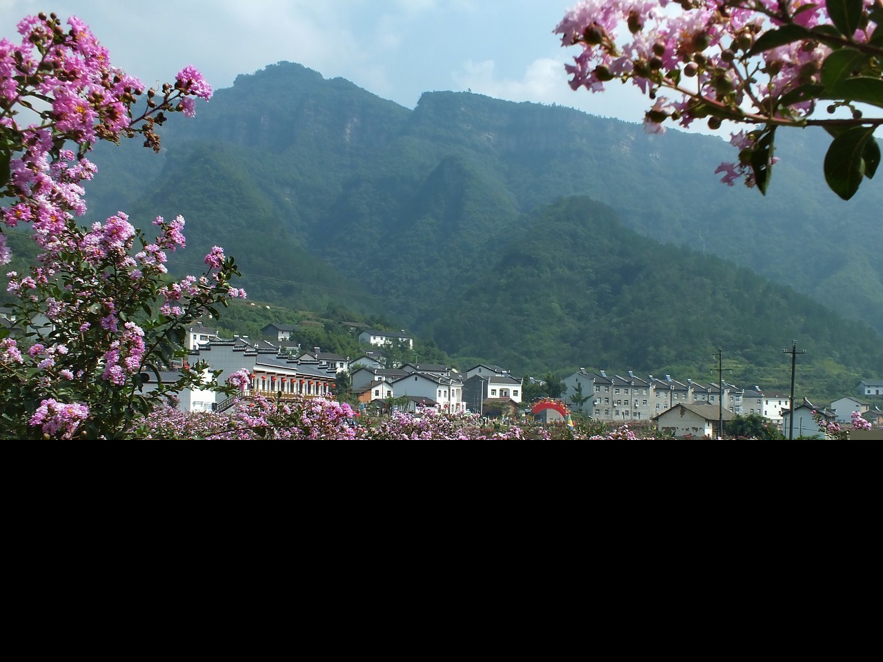 此夜曲中闻折柳全诗（李白春夜洛城闻笛赏析）