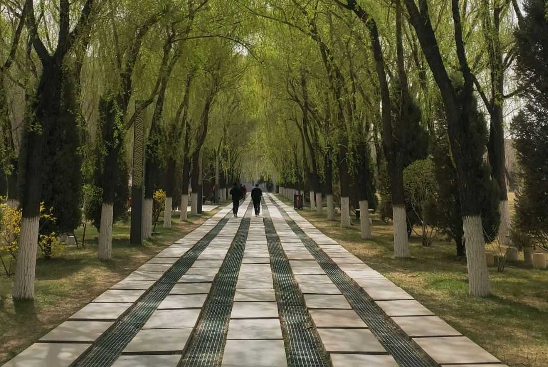 张爱玲散文迟暮摘抄（迟暮张爱玲原文赏析）