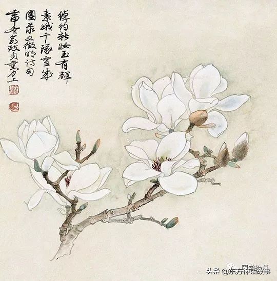 描写玉兰花的诗句有哪些（玉兰花的古诗大全）