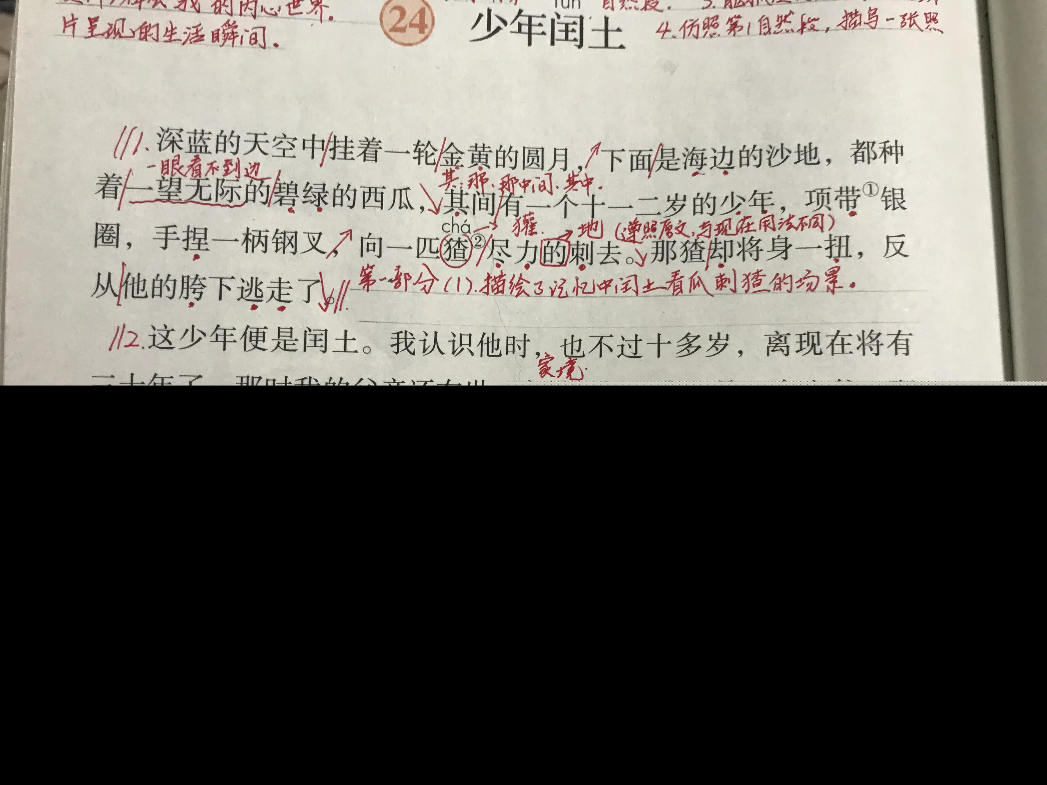 少年闰土的主要内容和段落大意（少年闰土全文解析）