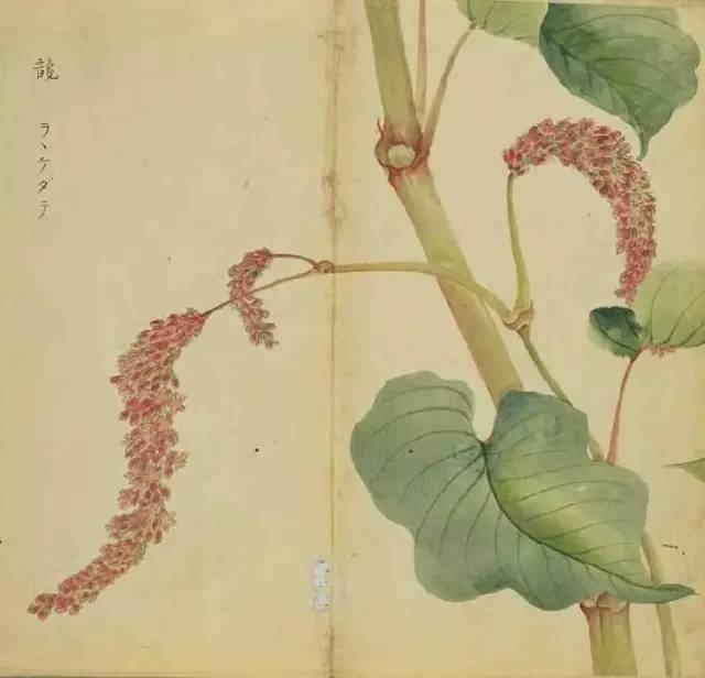 古诗词300首简短（欣赏古诗大全）