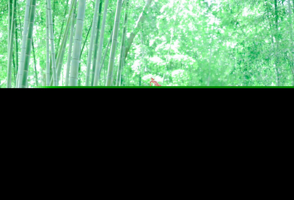 阮郎归无名氏阅读答案（古代诗歌阅读答案）