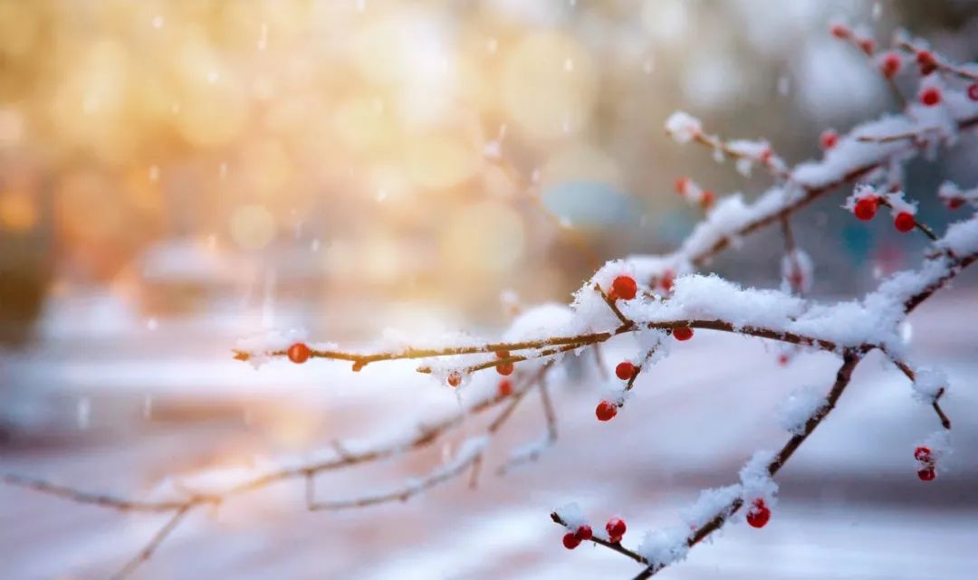关于雪的诗词名句（描写雪的诗句古诗大全）