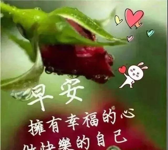 赞美朋友和友谊的句子（赞美好朋友之间的友情句子）