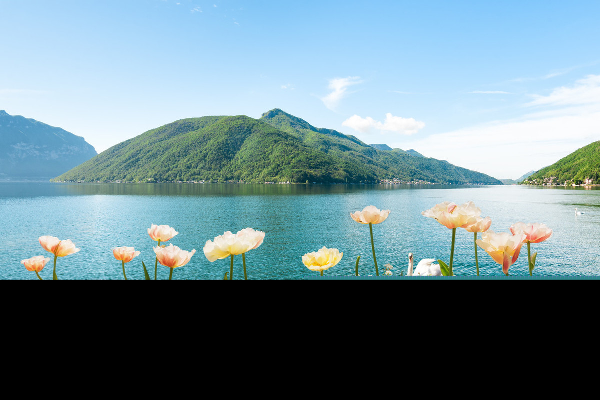 迟日江山丽的全诗意思是什么（关于迟日江山丽全诗分析）