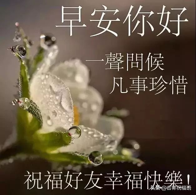 周一早上问候语温馨（适合星期一的早安心语）