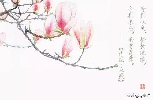 小学描写冬天的诗句（盘点小学必背冬天诗句）