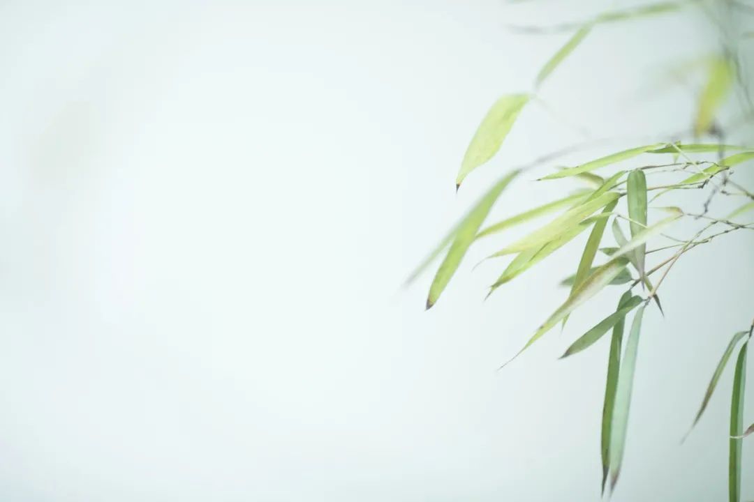 优美短诗摘抄大全（优美短小的诗句赏析）