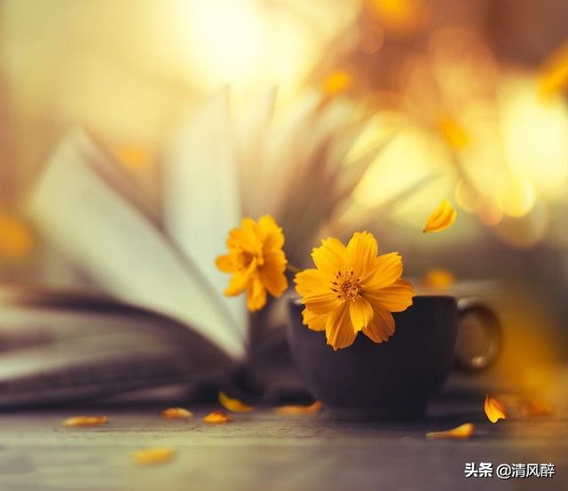 压抑的句子说说心情（内心很压抑难受的说说）