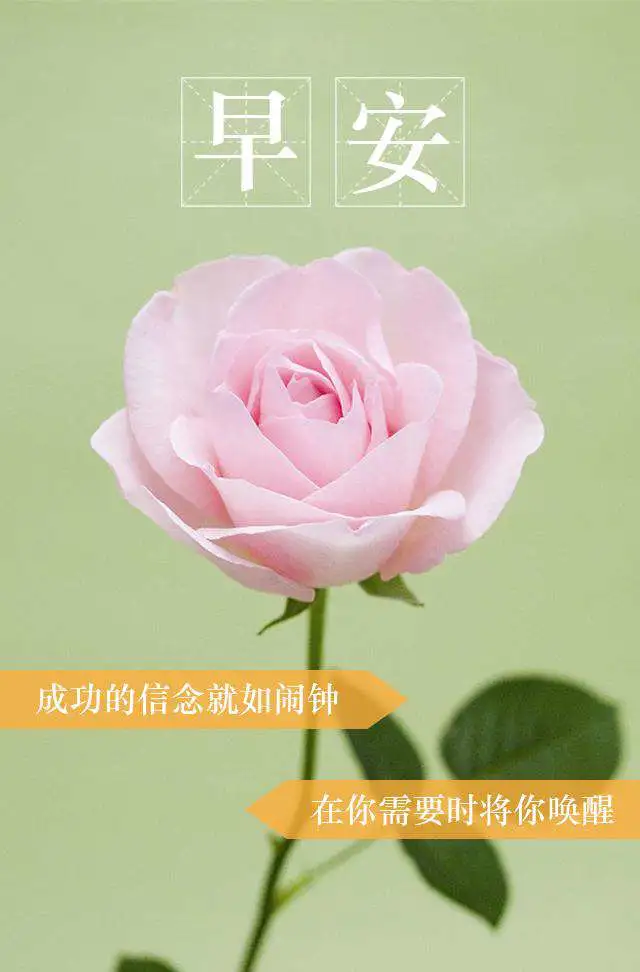 激励人生的句子经典（正能量的句子经典语句）