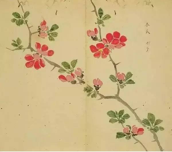 古诗词300首简短（欣赏古诗大全）