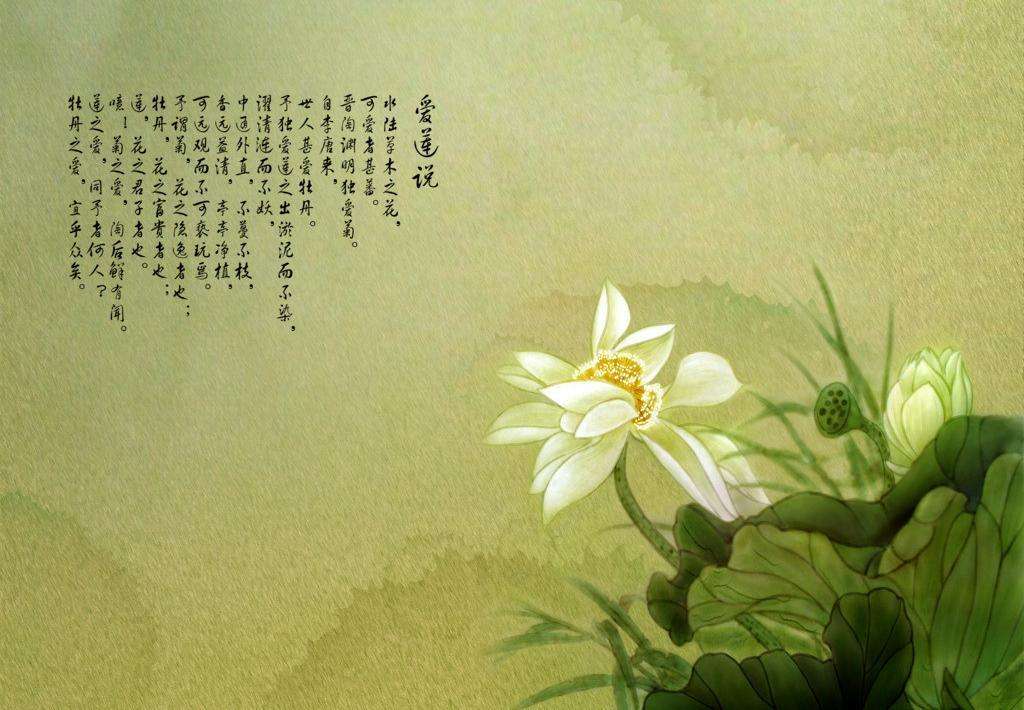 爱莲说原文及翻译注释（爱莲说的意思）