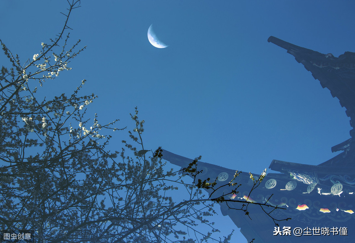 蝶恋花李清照翻译（蝶恋花全诗诗意解读）