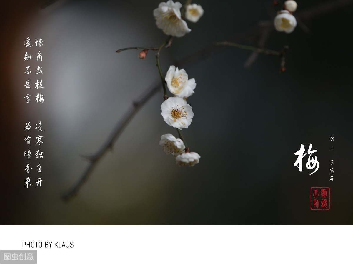 蜀道难理解性默写及答案（蜀道难原文注音完整版）