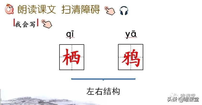 十五夜望月的意思翻译（十五夜望月全文知识点）