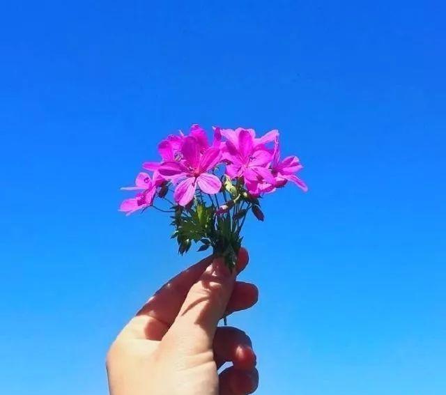 青春语录经典短句唯美（关于青春的说说唯美）