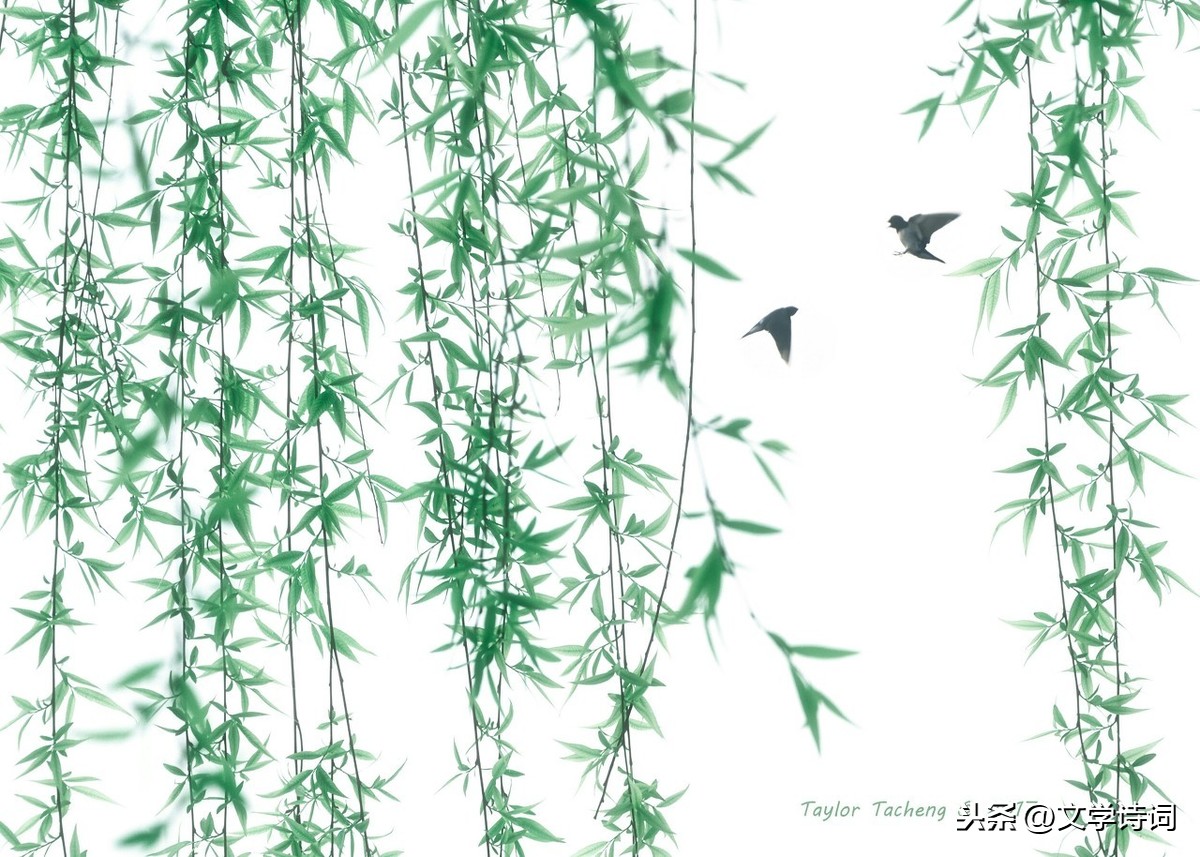 望驿台古诗带翻译（望驿台原文内容及诗意）