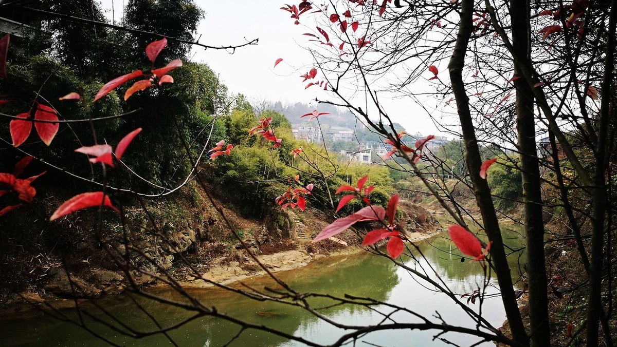 小石潭记原文及翻译（小石潭记翻译一句一译）