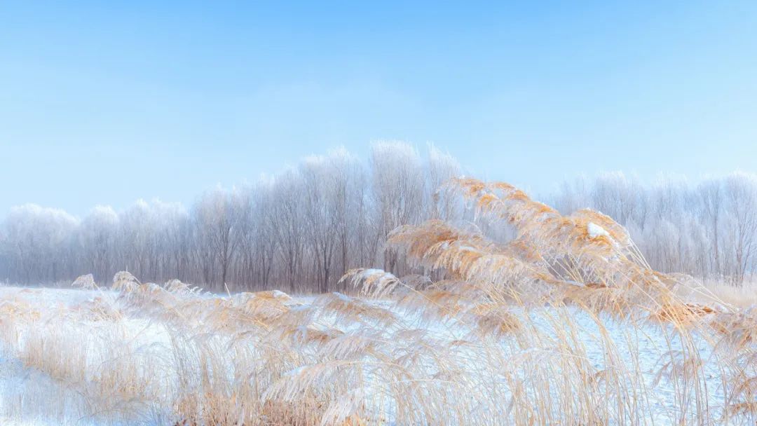 描写下雪的优美句子（写雪景的古风句子）