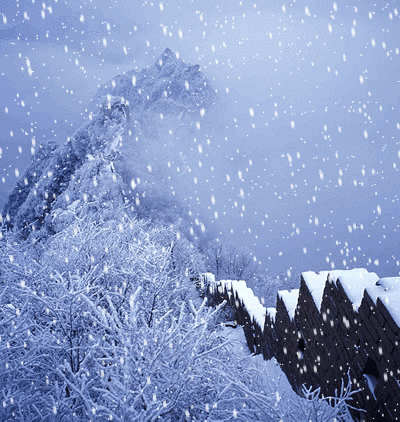 写雪的古诗句有哪些（描写雪的著名的唐诗）