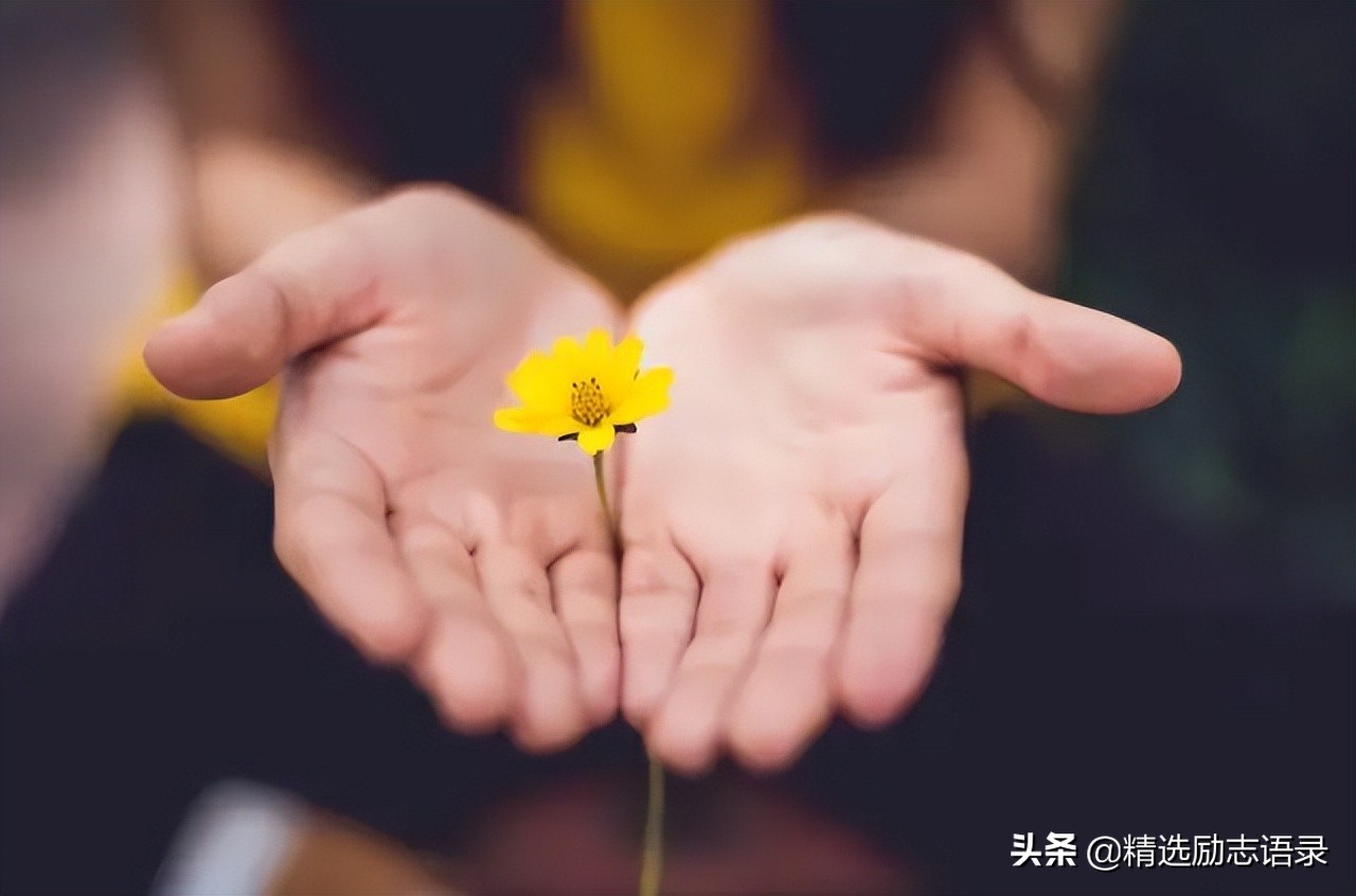 形容家的温暖的句子（一句简单晒幸福的句子）