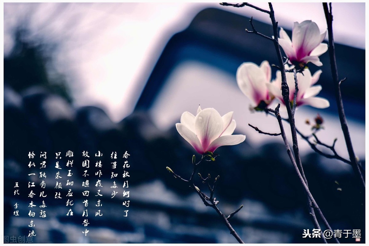 春花秋月何时了的下一句是什么（虞美人原文鉴赏）