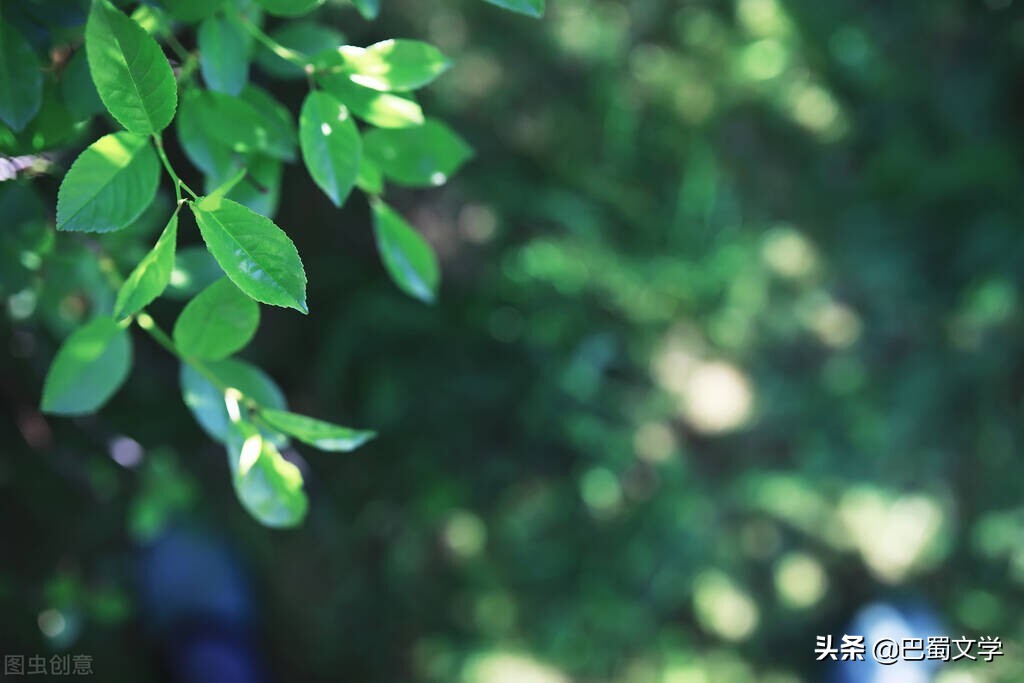 关于春天的散文名篇（描写春天的散文短篇）