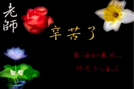 赞美老师的佳句有哪些（感谢美老师辛苦付出的话）