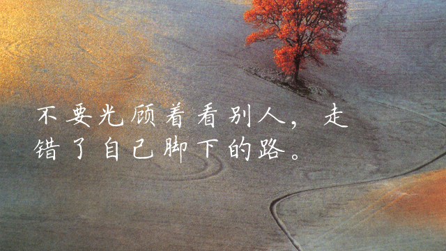 描写手的唯美古风句子（赞美纤纤玉手唯美语句）