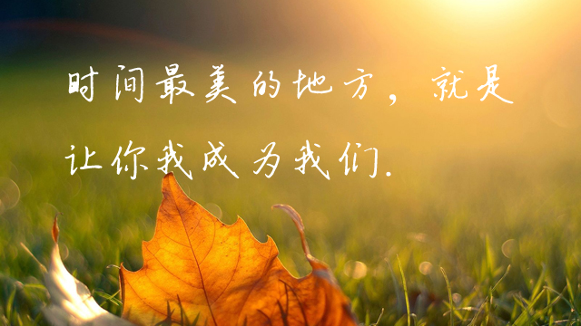 描写手的唯美古风句子（赞美纤纤玉手唯美语句）