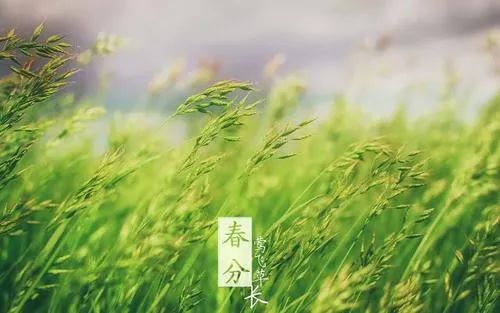 春分的诗句古诗名句（关于立春的古诗）