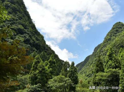 蜀道难主旨是什么（蜀道难重点句子赏析）