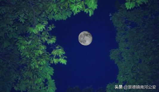 关于夏天的诗词（描写夏天的诗句）