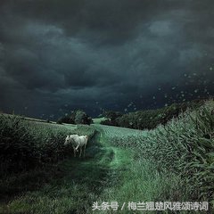 缅怀父亲去世的句子（附思念天堂父亲的经典诗句）