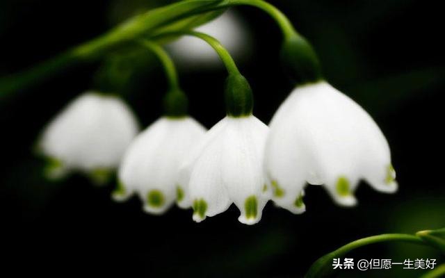 人生感悟一段很现实的话（很精辟的人生感悟句子）