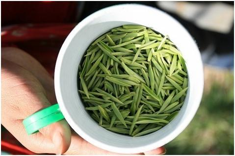 春茶的诗句唯美（三月春茶美好句子）