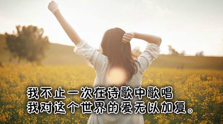 现代诗歌鉴赏（经典现代诗赏析大全）