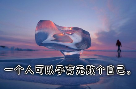 现代诗歌鉴赏（经典现代诗赏析大全）