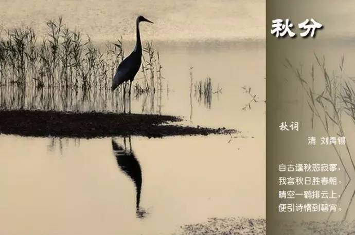 二十四节气的古诗有哪些（关于节气的古诗四句）