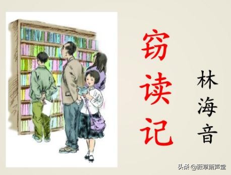 我的窃读记作文（窃读记全文阅读）