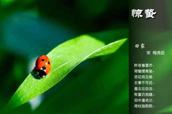 二十四节气的古诗有哪些（关于节气的古诗四句）
