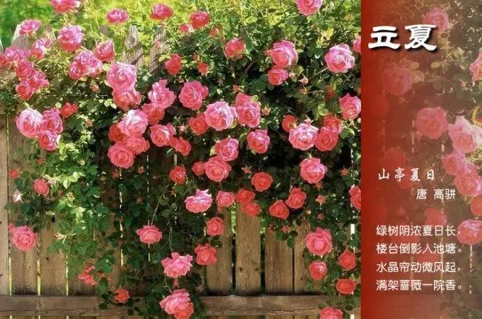 二十四节气的古诗有哪些（关于节气的古诗四句）
