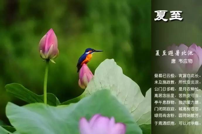 二十四节气的古诗有哪些（关于节气的古诗四句）
