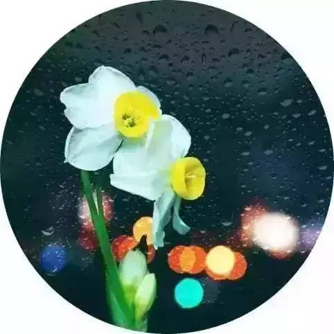 雨水节气的诗句（关于二十四节气的古诗词）